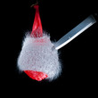 Red water balloon exploding Red water balloon exploding