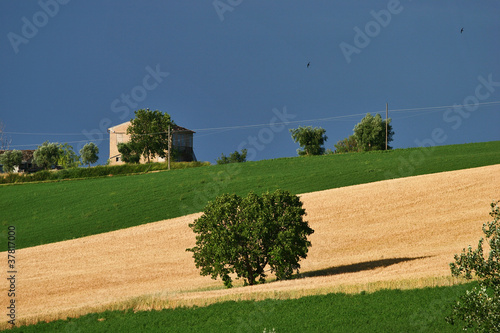 photo par morilioalber
