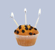fruit-cake isolated