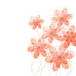 Pastel flowers on white background Pastel flowers on white background
