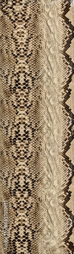 Photo: Snake skin, reptile Snake skin, reptile