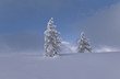 Winter Tales