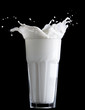 milk splash on black background