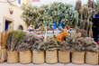 Photo: Morocco Traditional Market Morocco Traditional Market