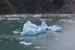 Ice Flows