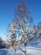 Winter in Norwegen
