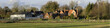 farm