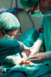 Operating team
