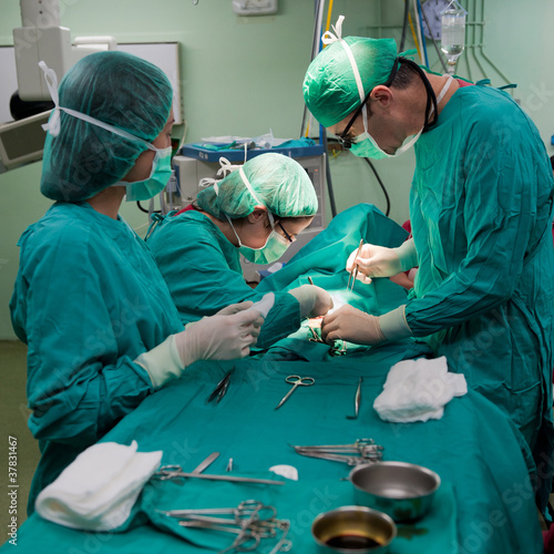 Photo: Surgery scene 13 Surgery scene 13