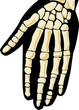 Human hand