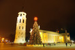 Night view of the christmas tree and bell tower on a Cathedral s