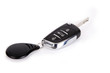 Foto: Car key and remote control. Car key and remote control.