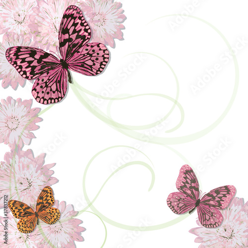 Illustration: Romantic Butterfly and daisy Background Romantic Butterfly and daisy Background