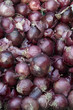 Rote Zwiebeln