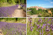 roussillon