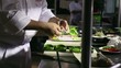 Video: Professional cook working in Asian restaurant kitchen Professional cook working in Asian restaurant kitchen