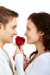 Tender love