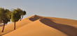 Foto: Arabian desert with sand UAE Arabian desert with sand UAE