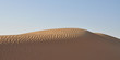 Foto: Arabian desert with sand UAE Arabian desert with sand UAE