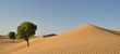 Foto: Arabian desert with sand UAE Arabian desert with sand UAE