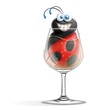 coccinella nel bicchiere pieno