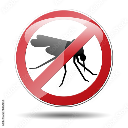 Illustration: Señal trafico prohibido mosquito Señal trafico prohibido mosquito