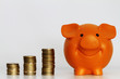 Sparschwein