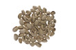 Tasty Roasted Pistachios Tasty Roasted Pistachios
