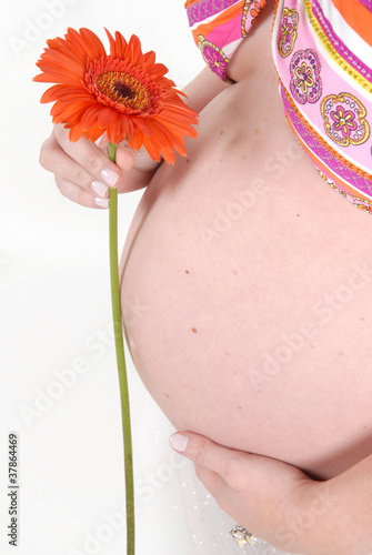Photo: gravida e flor gravida e flor