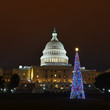Washington DC - Capitol building and Christmas tree