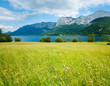 Alpine summer lake view