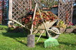 Gartenpflege im Herbst