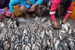 marché aux poissons marché aux poissons