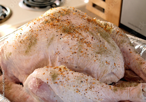 Photo: Seasoned uncooked turkey - ready for roasting Seasoned uncooked turkey - ready for roasting
