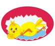 chicken