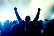 cheering concert crowd