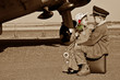 Foto: I will miss you I will miss you
