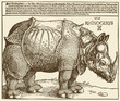 rhino