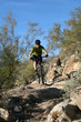 Mountain Biker