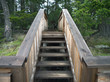Forest Trail Stairs