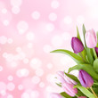 Beautiful tulips in purple Beautiful tulips in purple