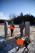 european pheasant hunt european pheasant hunt