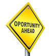 opportunity ahead