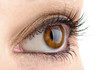 Eye make-up