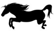 wild horse - fine black silhouette against white