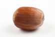 single hazelnut