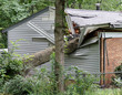 Oak Tree Crushing a House