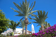 Canary Island Bell Tower and Palm Trees