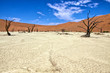dead trees in deadvlei namib naukluft park namibia africa
