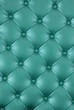 Texture of light green leather